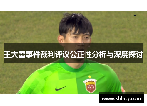 王大雷事件裁判评议公正性分析与深度探讨 王大雷事件裁判评议公正性分析与深度探讨
