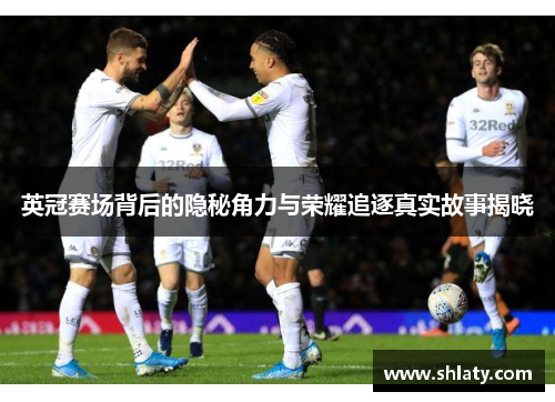英冠赛场背后的隐秘角力与荣耀追逐真实故事揭晓