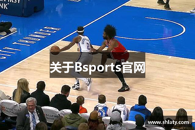 关于Bsports官网